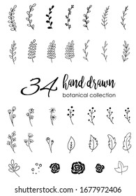 Hand drawn vector flowers branches and leaves. Botanical sketch collection. Decorative elements for design. Ink, vintage, rustic.
