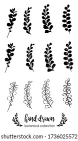 Hand drawn vector flowers branches and leaves. Botanical sketch collection. Decorative elements for design. Ink, vintage, rustic.