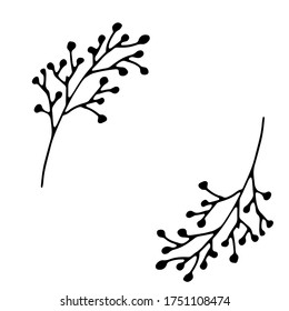 flores vectoriales dibujadas a mano y ramas con hojas, bayas. doodles.Elementos para la boda, Día de San Valentín, cumpleaños, Pascua.Hand dibujó aislado en el fondo blanco.