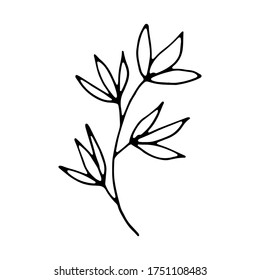 flores vectoriales dibujadas a mano y ramas con hojas, bayas. doodles.Elementos para la boda, Día de San Valentín, cumpleaños, Pascua.Hand dibujó aislado en el fondo blanco.