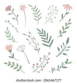Flores vectoriales dibujadas a mano y ramas. Se pueden utilizar elementos decorativos para hacer patrones, invitaciones e imágenes de fondo.