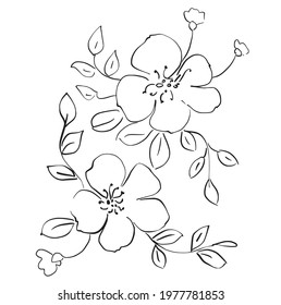 Hand drawn vector flowers and leaves.  Illustration for design.