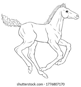 Vector dibujado a mano de popa aislado sobre fondo blanco. Ilustración en blanco y negro del caballo joven para el libro de colorear.