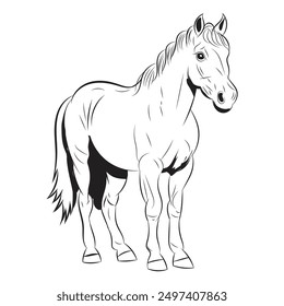 Hand drawn vector of foal isolated on white background. Black and white stock illustration of young horse for coloring book