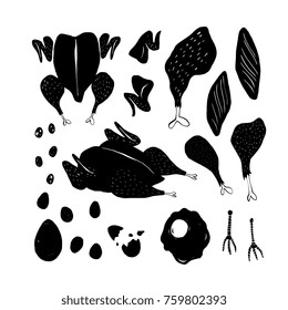 Hand drawn vector food illustrations. In modern trendy organic flat style. Different kinds and parts of chicken meat. Elements for cookbook design, menu, packaging. Isolated on background.