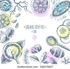 Hand drawn vector frame background, organic cosmetics, spa. Natural herbal products, citrus, cucumber, zucchini, flower petals, chamomile almond Vintage engraving sketchy style