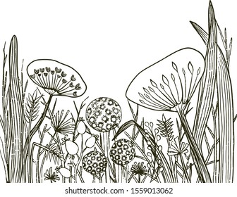 Hand drawn vector frame border. Texture with greens, branch, leaves, flowers, foliage. Perfect for wedding, invitations, greeting cards, quotes, pattern