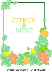 hand drawn vector frame with citrus fruits and mint