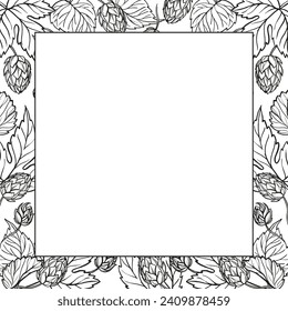 Hand drawn vector frame with hop plant, leaves and buds, craft beer ingredients, black and white illustration of branch humulus lupulus, inked illustration isolated on white background