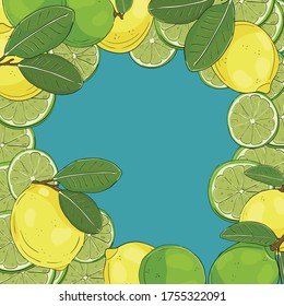 Hand drawn vector frame with lime and lemon fruits. Illustration for banner, wrap, fabric, paper design.