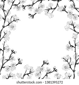 Hand drawn vector frame of sakura branches. Sketch illustration of sakura branch.