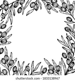 Hand drawn vector frame of sea buckthorn branches. Sea buckthorn graphic frame. Berry theme. Sea buckthorn sketch illustration. 