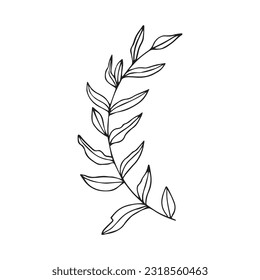Hand drawn vector frame. For wedding and holiday. Decorative elements for design. Isolated