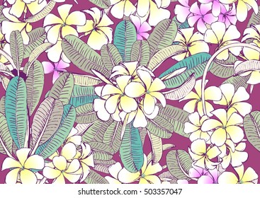 Hand drawn vector frangipani seamless.