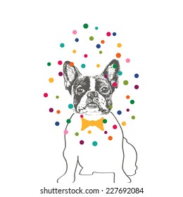 Hand drawn vector of French Bulldog in tie bow with colorful dots