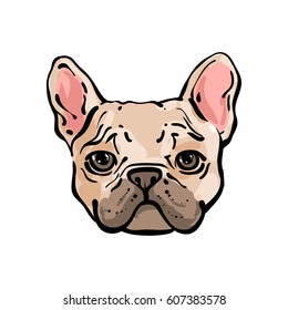 Hand drawn vector french bulldog. Illustration in line art style. Pet portrait