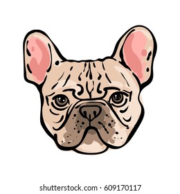 Hand drawn vector french bulldog. Illustration in line art style. Pet portrait