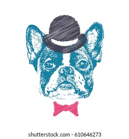 Hand drawn vector of French Bulldog