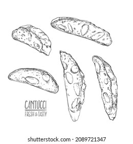 Hand drawn vector fresh baked cantucci. Flavored italian cafe dessert. Isolated outline images for design, packaging, menu