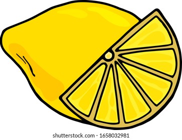 Hand drawn vector fruit - lemon, isolated on white background. Organic healthy food.