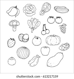 Hand drawn vector fruit,nature fruit