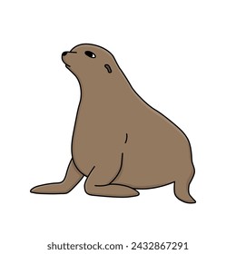 Hand drawn vector fur seal illustration. Cartoon outline isolated animal of Antarctica on the white background