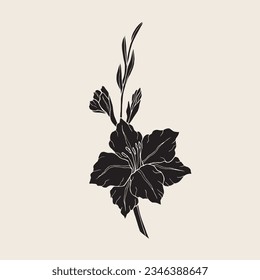 Hand drawn vector gladiolus flower