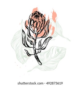 Hand drawn vector graphic abstract floral illustration of ink protea flower isolated on white background.Design decoration elements for greeting,save the date,birthday cards.