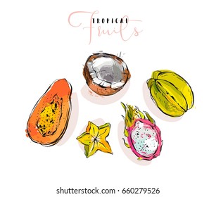 Hand drawn vector graphic abstract artistic exotic fruits illustrations collection set with coconut,papaya,dragon fruit and carambola isolated on white background