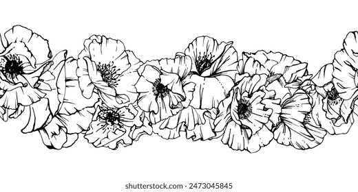 Hand drawn vector graphic botanical illustration flowers leaves. Red poppy papaver, stems buds seedpods. Seamless banner isolated white background. Design wedding, cards, remembrance day stationery