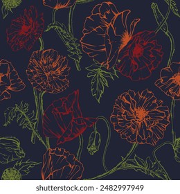 Hand drawn vector graphic botanical illustration flowers leaves. Red poppy papaver, stems buds seedpods. Seamless pattern isolated dark background. Design wedding, paper, remembrance day stationery