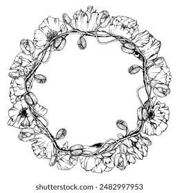 Hand drawn vector graphic botanical illustration flowers leaves. Red poppy papaver, stems buds seedpods. Wreath frame isolated white background. Design wedding, love cards, remembrance day stationery