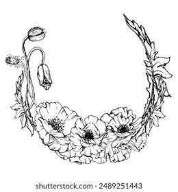 Hand drawn vector graphic botanical illustration flowers leaves. Red poppy papaver, stems buds seedpods. Wreath frame isolated white background. Design wedding, love cards, remembrance day stationery