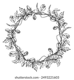 Hand drawn vector graphic botanical illustration flowers leaves. Red poppy papaver, stems buds seedpods. Wreath frame isolated white background. Design wedding, love cards, remembrance day stationery