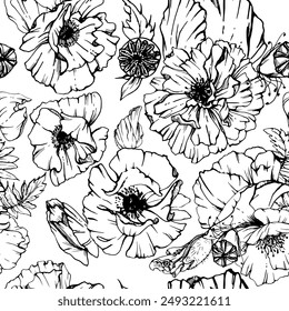 Dibujado a mano Vector gráfico ilustración botánica flores hojas. Papaver de amapola roja, subgrupos brotes vainas de semillas. Fondo blanco aislado sin costura del patrón. Diseño de la boda, papel, día de recuerdo papelería