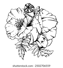 Hand drawn vector graphic botanical illustration flowers leaves. Red poppy papaver, stems buds seedpods. Field bouquet isolated on white background. Design wedding, cards, remembrance day stationery