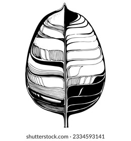 Hand drawn vector graphic doodle line art decorative leaf with stripe stroke texture black and white isolated background invitation card banner textile paper wrapping packaging holiday wedding design