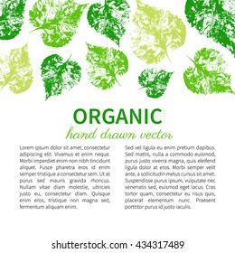 Hand drawn vector graphic engraving green leaves isolated on white, stamp imprint leaf, cards, banners, background, designed frame and text, template for cosmetic,beauty salon, natural organic product