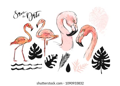 Hand drawn vector graphic freehand textured sketch pink flamingo and tropical palm leaves 