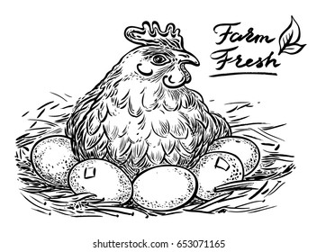 Hand drawn vector graphic illustration. Rural natural bird farming. 