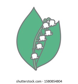 Hand drawn vector graphic illustrations of a lily of the valley.