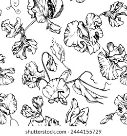 Hand drawn vector graphic ink illustration botanical flowers leaves. Sweet everlasting pea, vetch bindweed legume tendrils. Seamless pattern isolated white background. Wedding, cards, floral shop