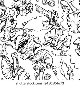 Hand drawn vector graphic ink illustration botanical flowers leaves. Sweet everlasting pea, vetch bindweed legume tendrils. Seamless pattern isolated white background. Wedding, cards, floral shop