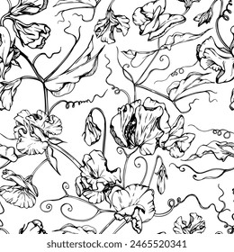 Hand drawn vector graphic ink illustration botanical flowers leaves. Sweet everlasting pea, vetch bindweed legume tendrils. Seamless pattern isolated white background. Wedding, cards, floral shop