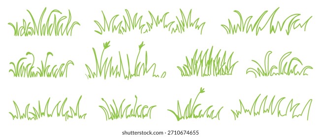 Coleção de folhas de grama vetorial desenhadas à mão isoladas em branco, ervas de doodle, elementos de padrão orgânico, flores, elementos de trevo. Ilustração vetorial.