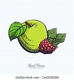 Hand drawn Vector of Green Apple and Berry on Paper Background. Sketch illustration Vector eps.10