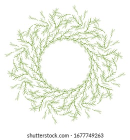Hand drawn vector green floral rustic circle wreaths with plant leaves and branches on white background