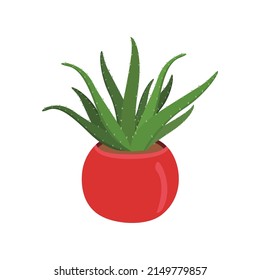 Hand drawn vector of green house plant in pot. Home decor, cozy plant, botanical leaves. Decorative floral art isolated on white background. Colorful greenery doodle sketch illustration