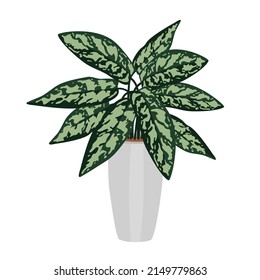 Vector de mano de la planta de la casa verde en la olla. Decoración casera, planta acogedora, hojas botánicas. Arte floral decorativo aislado de fondo blanco. Dibujo de dibujo de doodles de color verde