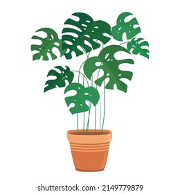 Hand drawn vector of green house plant in pot. Home decor, cozy plant, botanical leaves. Decorative floral art isolated on white background. Colorful greenery doodle sketch illustration